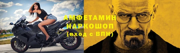 молекула духа Арсеньев