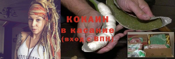 молекула духа Арсеньев