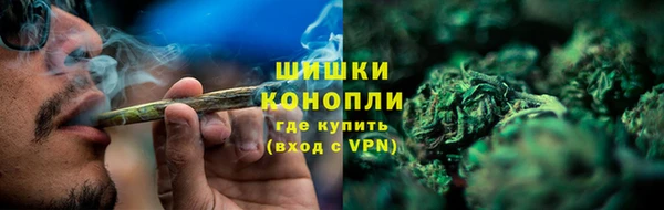 молекула духа Арсеньев