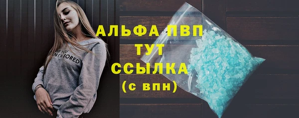 молекула духа Арсеньев