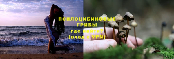 таблы Армянск