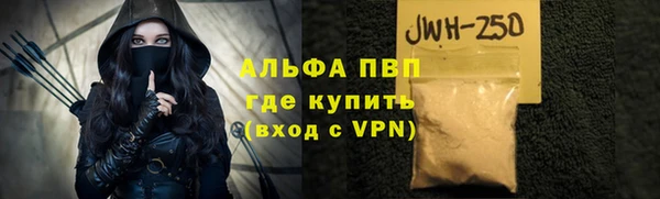 молекула духа Арсеньев