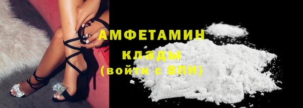 молекула духа Арсеньев