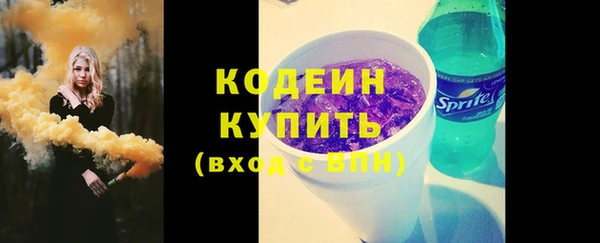 молекула духа Арсеньев