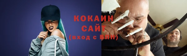 молекула духа Арсеньев