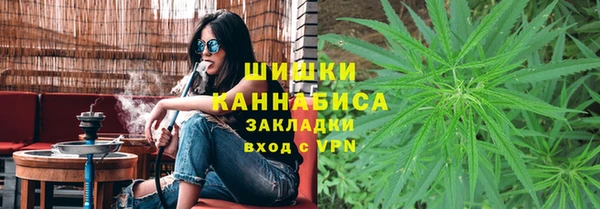 spice Козловка