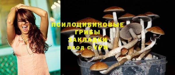 марки nbome Аркадак