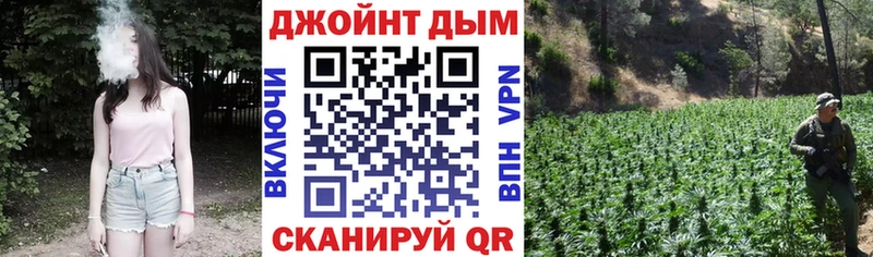 Марихуана конопля  Осинники 